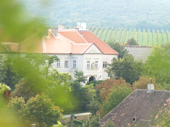 Schloss Mailberg Schloss Mailberg